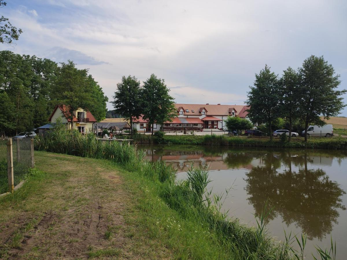 Villa Agrowczasy Nad Stawem à Gartatowice Extérieur photo