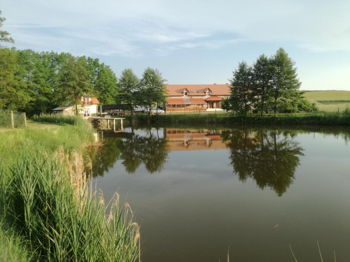Villa Agrowczasy Nad Stawem à Gartatowice Extérieur photo